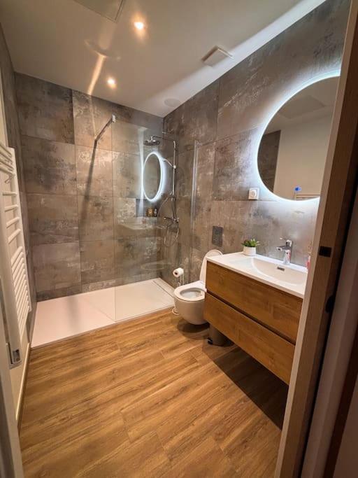 Bel Appartement Centre-Ville Saint-Etienne  Eksteriør bilde